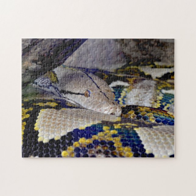 Puzzle Snake Python reticulado (Horizontal)
