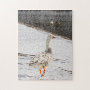 Puzzle Snow Goose Strout