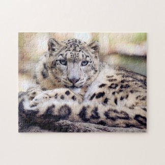 Puzzle Snow Leopard