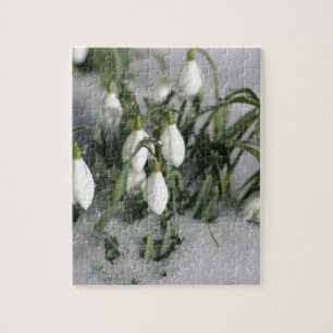 Puzzle Snowdrop