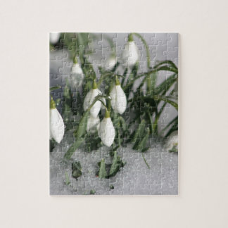 Puzzle Snowdrop