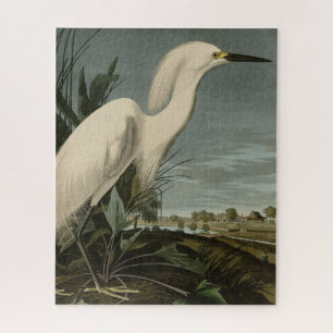 Puzzle Snowy Heron (Egret) - Aves de América de Audubon