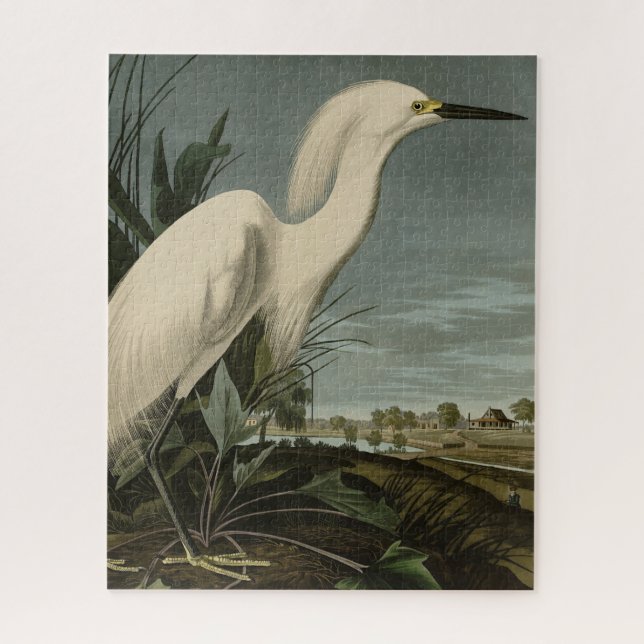 Puzzle Snowy Heron (Egret) - Aves de América de Audubon (Vertical)