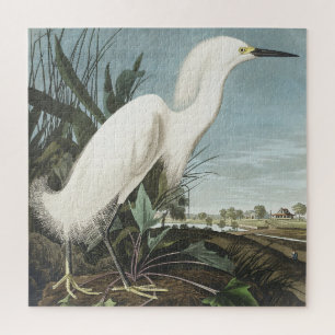 Puzzle Snowy Heron or White Egret from Birds of America
