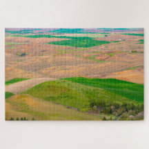 Sobre el pájaro pintado de Steptoe pero difícil