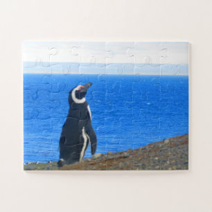 Puzzle solo de pingüino