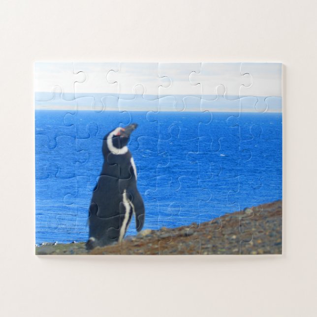 Puzzle solo de pingüino (Horizontal)