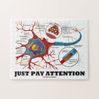 Puzzle Sólo hay que prestar atención (neurona/sinapsis)