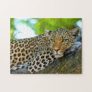 Puzzle Solo pasando el rato
