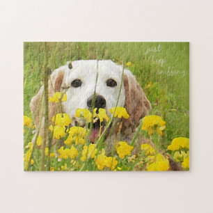 Puzzle solo sigue olfateando a beagle en flores silvestre