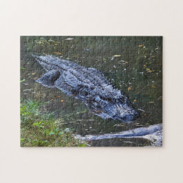 Puzzle Sombra en las aguas poco profundas