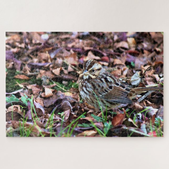 Puzzle Song Sparrow (Horizontal)