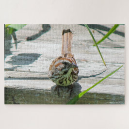 Puzzle Song Sparrow