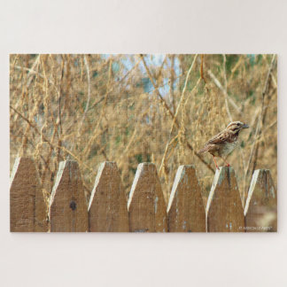 Puzzle Song Sparrow en la cerca