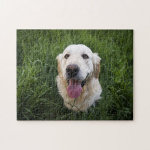 Puzzle Sonriente Golden Retriever
