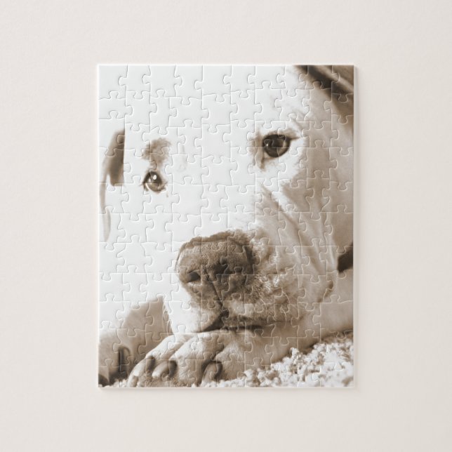 Puzzle sonriente y amigable pitbull blanco odio acción no (Vertical)