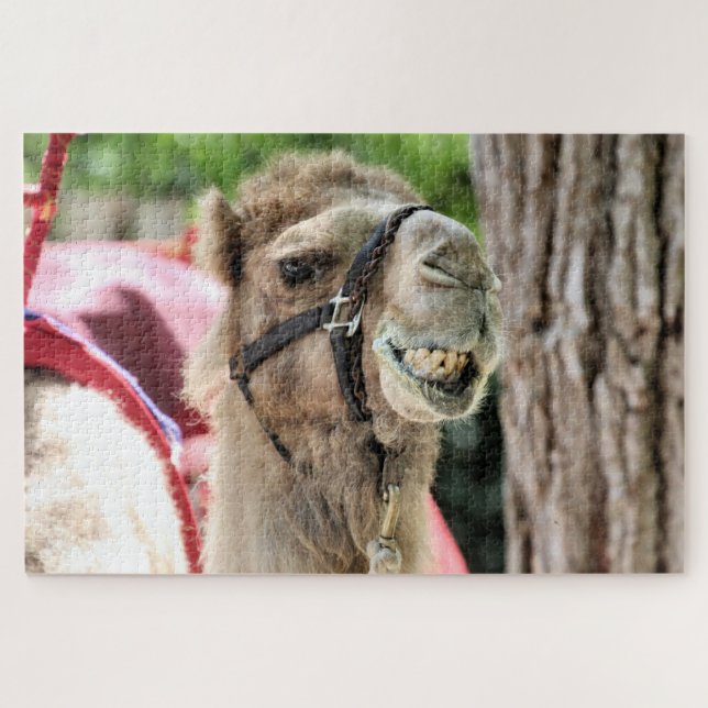 Puzzle Sonrisa (Horizontal)