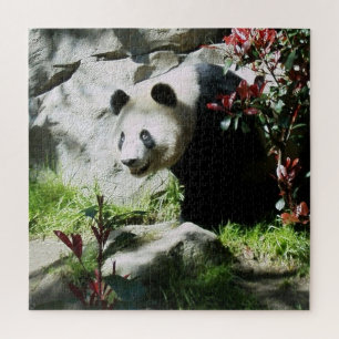 Puzzle Sonrisa de oso Panda