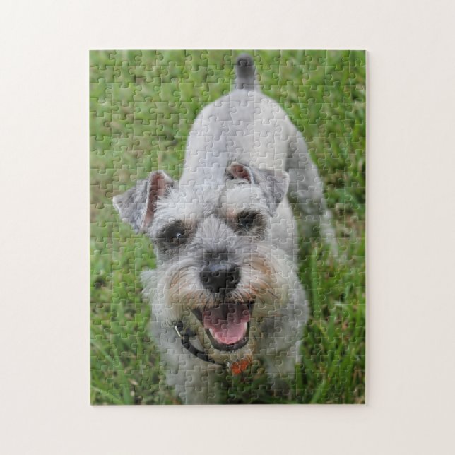 Puzzle Sonrisa en miniatura Schnauzer (Vertical)