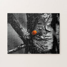 Puzzle sonrisa para una mariquita