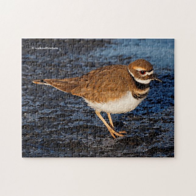 Puzzle Sorprendente ave corta Killdeer en Icy Mudflats (Horizontal)