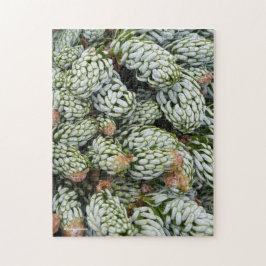 Puzzle Sorprendente hilo enano coreano