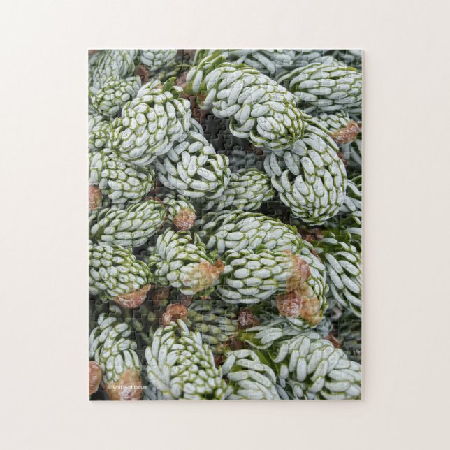 Puzzle Sorprendente hilo enano coreano (Vertical)