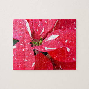 Puzzle Sorpresa de Estrella Brillante Poinsettia Floral d