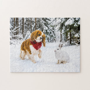 Puzzle Spaniel conoce a la liebre de nieve en el bosque i