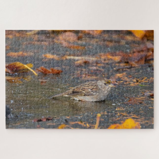Puzzle Sparrow (Horizontal)