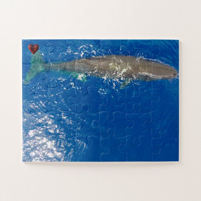 Puzzle Sperm Whale (Horizontal)
