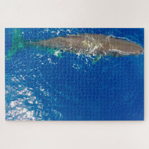 Puzzle Sperm Whale