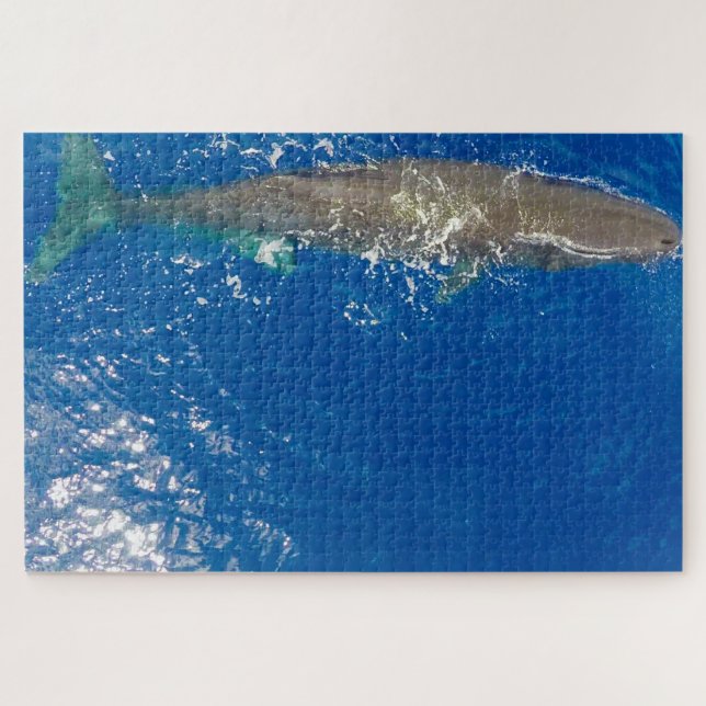Puzzle Sperm Whale (Horizontal)