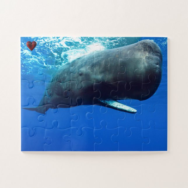 Puzzle Sperm Whale (Horizontal)