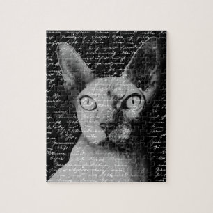 Puzzle Sphynx cat