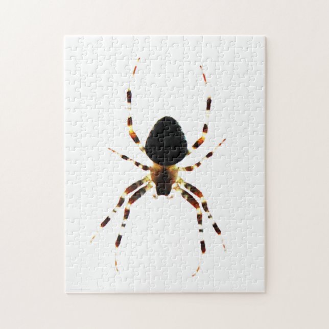 Puzzle Spider 11x14 252pc jpcnm (Vertical)