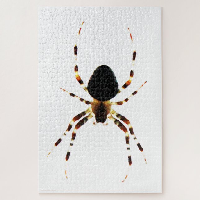 Puzzle Spider 20x30 1014pc jpcna (Vertical)