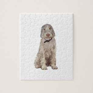Puzzle Spinone Italiano (A) - Trigo
