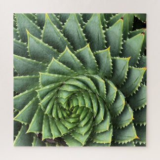 Puzzle Spiral Aloe Fibonacci