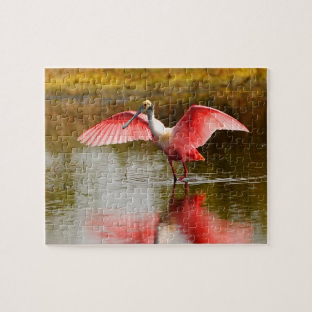 Puzzle Spoonbill (Horizontal)