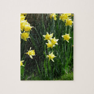 Puzzle Spring Daffodils
