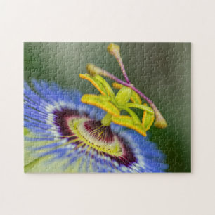Puzzle Spring Garden - Passion Flower