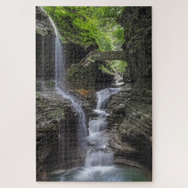 Puzzle Spring Waterfalls at Watkins Glen (Vertical)