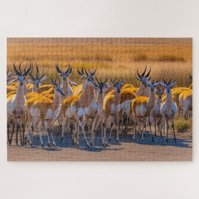 Puzzle Springbok Herd (Horizontal)