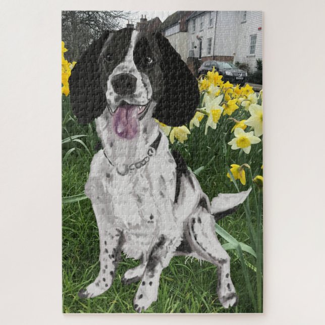 Puzzle Springer Spaniel blanco y negro contra narcisos (Vertical)