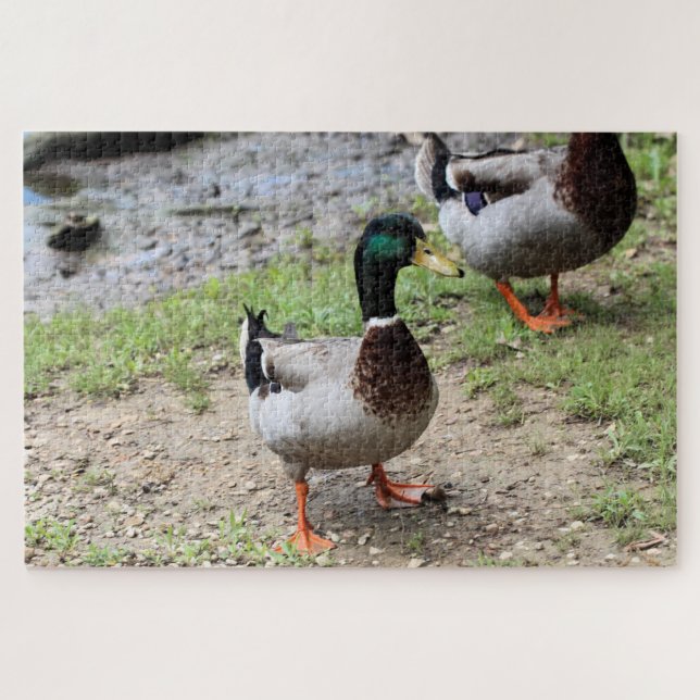 Puzzle Sr. Duck (Horizontal)