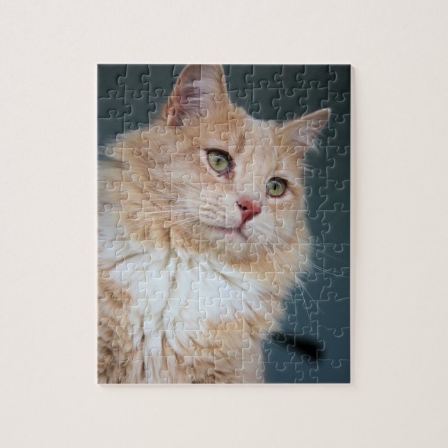 Puzzle Sr. Handsome (Vertical)