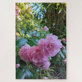 Puzzle Sra. Ash Rosa y Bambú.