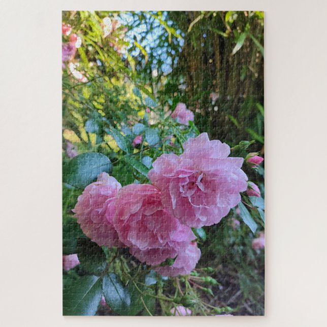 Puzzle Sra. Ash Rosa y Bambú. (Vertical)