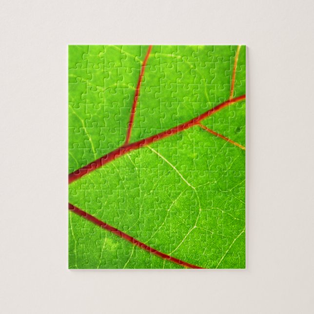 Puzzle St Thomas 1 (Vertical)
